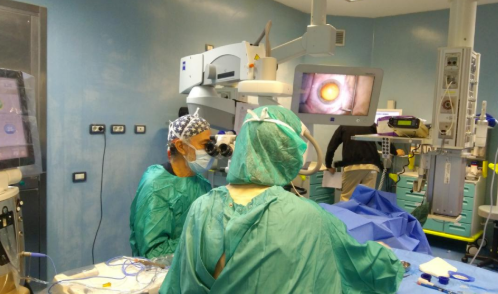 医生·医声——抚州以诚为本赢在诚信9001章晖:欧洲深造归来的80后院长,心之所向是当一名好医生1.png 医生·医声——抚州以诚为本赢在诚信9001章晖:欧洲深造归来的80后院长,心之所向是当一名好医生1.png